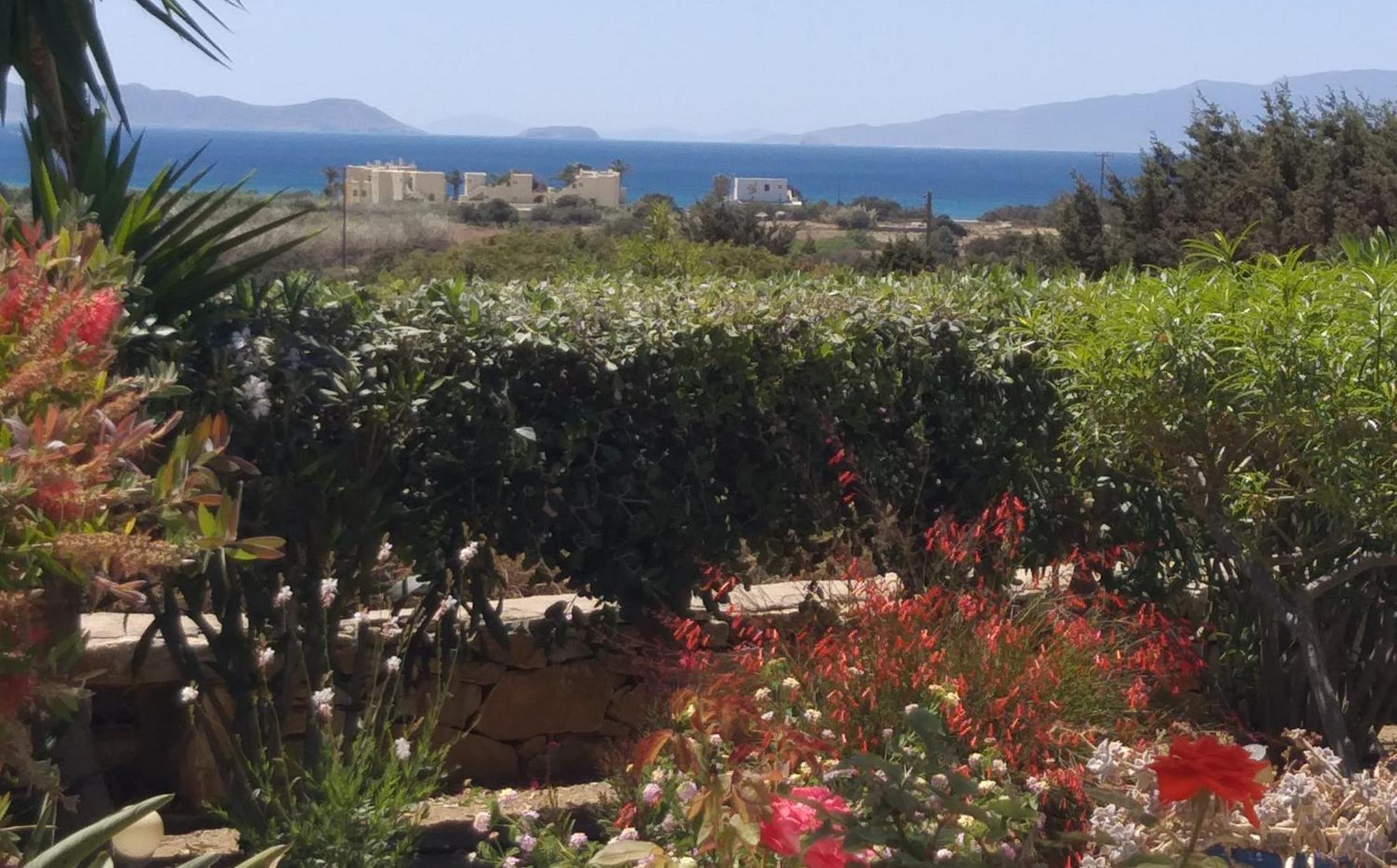 דירות אליקו ביץ' Haus Asterakia מראה חיצוני תמונה