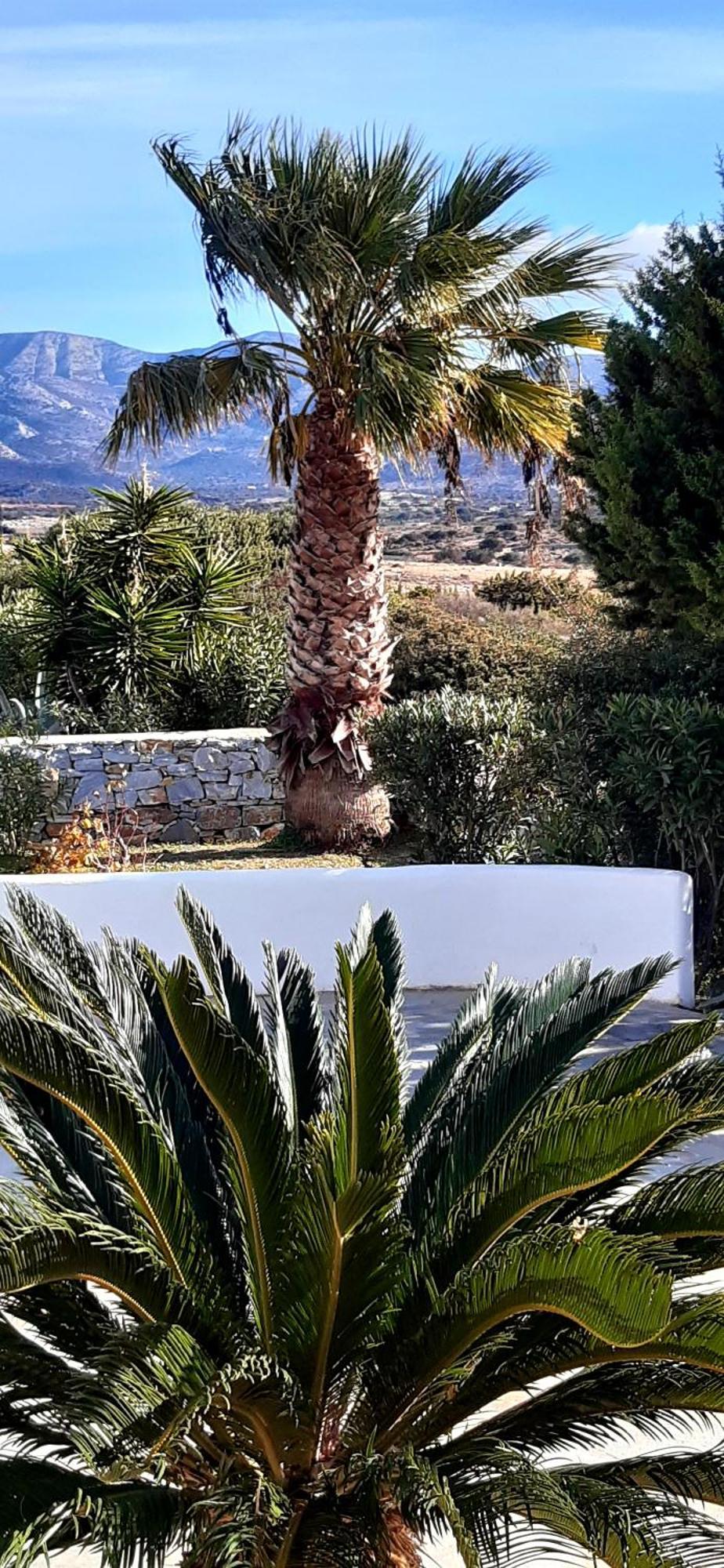 דירות אליקו ביץ' Haus Asterakia מראה חיצוני תמונה